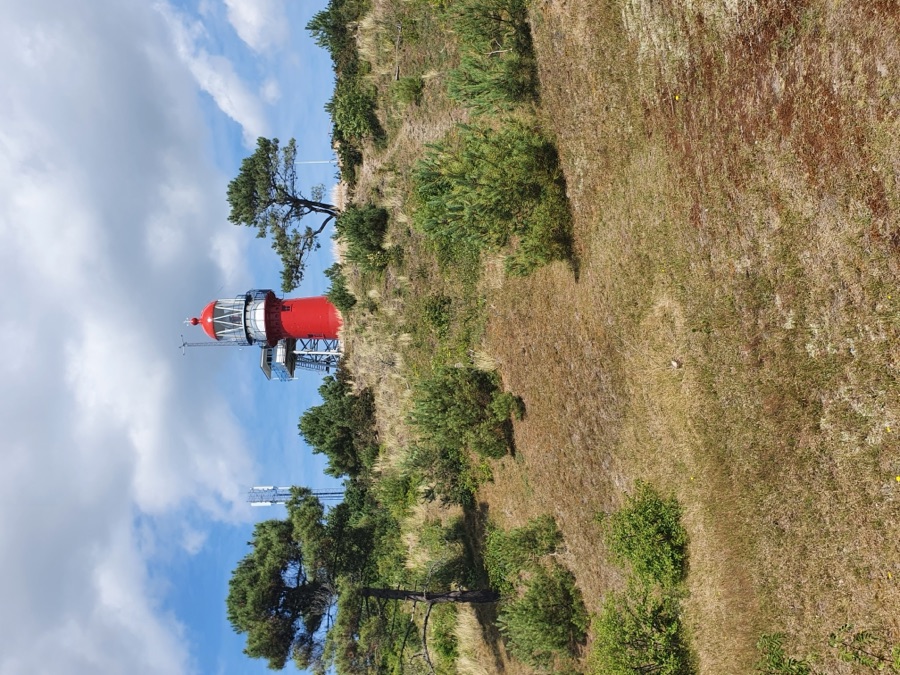 Fietsen en natuur op Vlieland